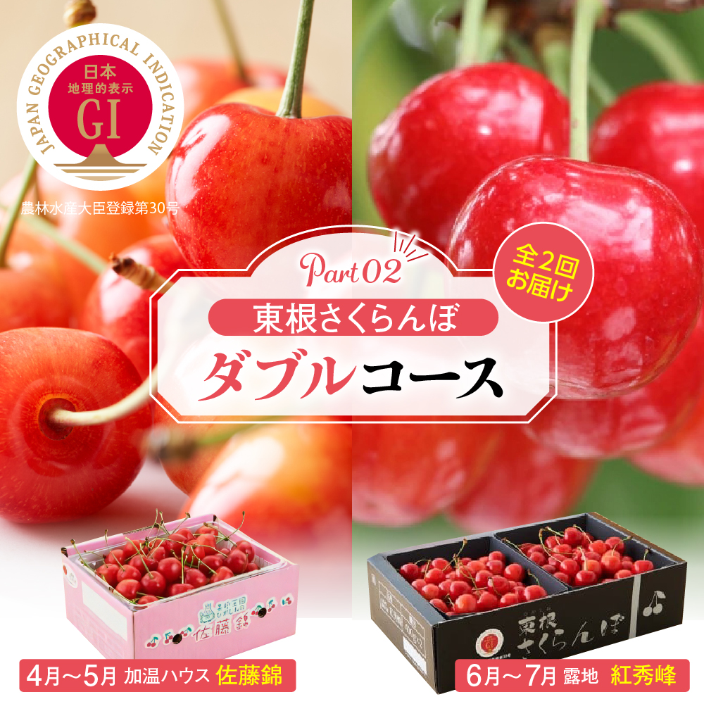 【2026年産 先行予約】東根さくらんぼ ダブルコースpart2(佐藤錦加温500g、紅秀峰800g) 山形県 東根市 hi001-045