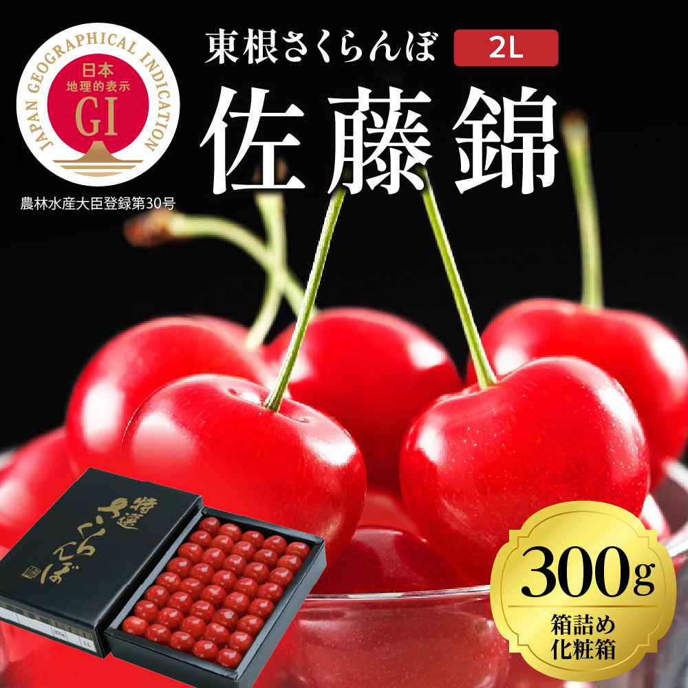 2026年GI東根さくらんぼ「佐藤錦」300g化粧箱詰め(2L) 東根農産センター提供 山形県 東根市 hi027-222