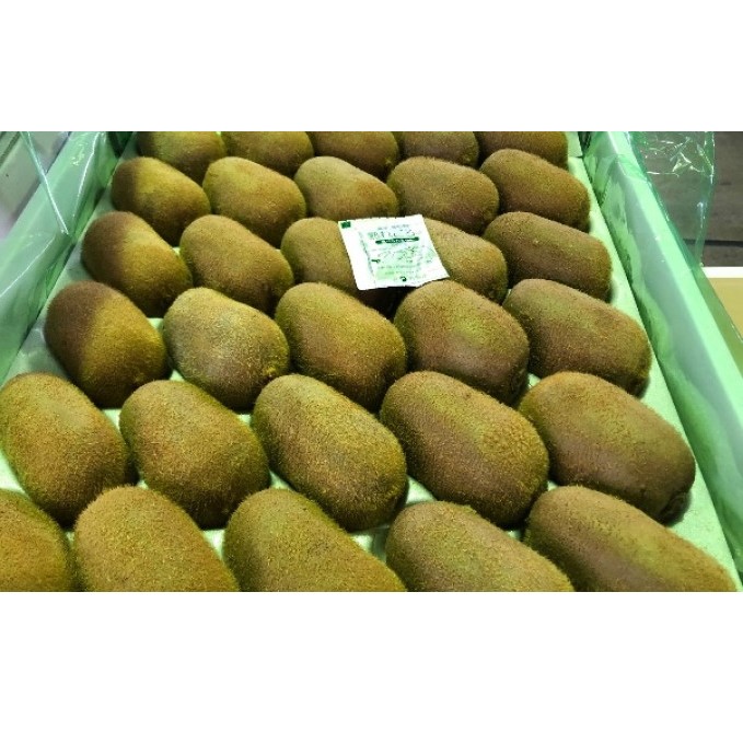 香川県オリジナルキウイ「香緑（こうりょく）」約3kg  果実 キウィ 甘い 讃岐 フルーツ 果物詰合せ 