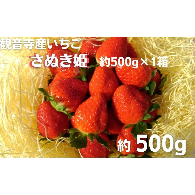 数量限定 観音寺産いちご(さぬき姫)バラ詰め約500g×1箱 果物類 苺 イチゴ オリジナル品種 紅色 高設式養液栽培 プレゼント