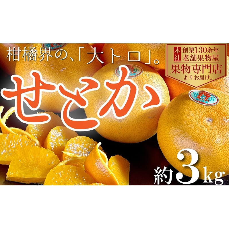 【2026年2月上旬より順次発送】柑橘界の大トロ!せとか 約3kg 果物 フルーツ 国産 日本産 冬の味覚 冬の果物 冬のフルーツ 香川オリジナル品種 観音寺市産
