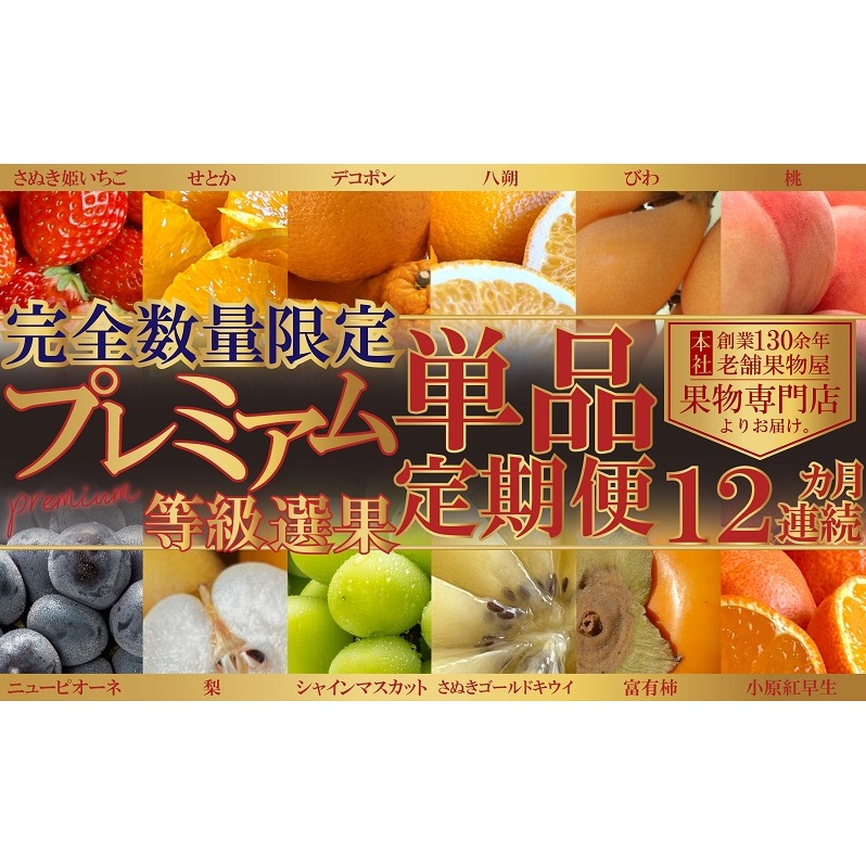 【数量限定！】旬の見極めこの一品！プレミアム等級選果の12ヶ月連続単品定期便♪ 苺 せとか 葡萄 蜜柑 びわ 桃 梨 柿 
