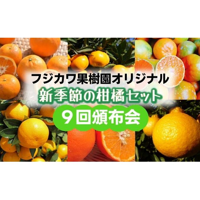 【9回頒布会】フジカワ果樹園オリジナル・新季節の柑橘セット 定期便 食べ比べ 