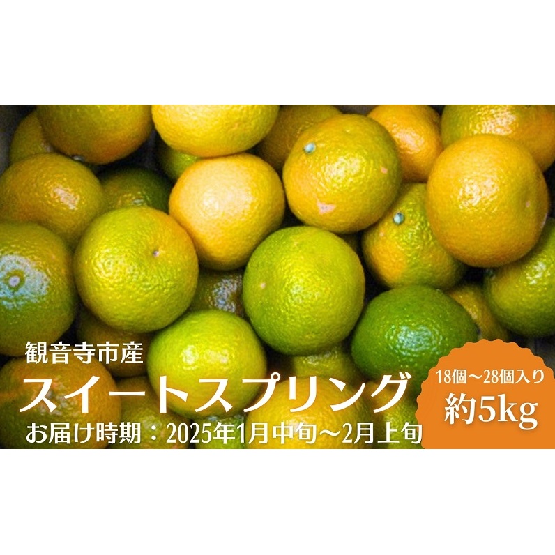 スイートスプリング 約5kg 果物類 みかん 柑橘類 フルーツ　 