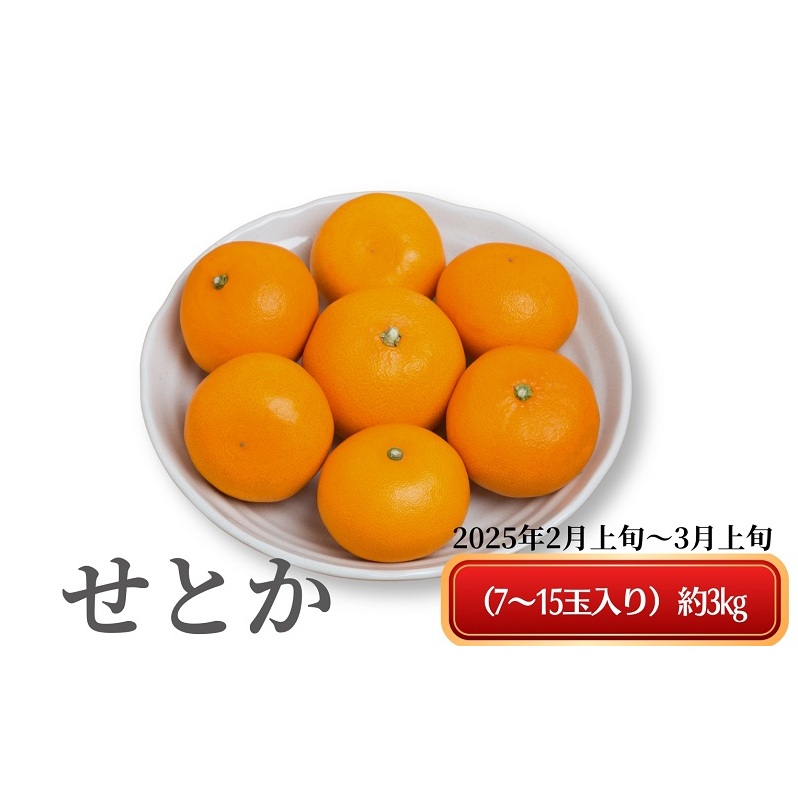 《とろける美味》 せとか 約3kg 甘い みかん （ お取り寄せ おすすめ 美味しい せとかみかん せとかふるさと納税 季節限定 柑橘 蜜柑 かんきつ フルーツ 青果 果物 くだもの 贈り物 特産品 ） 香川県観音寺市 