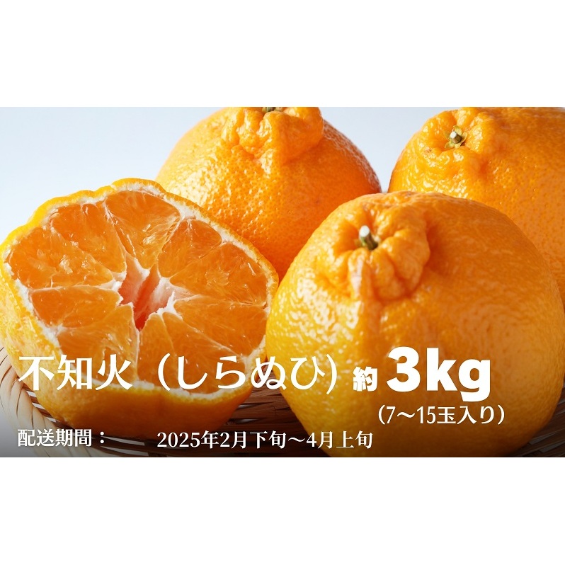不知火（しらぬひ）約3kg 果物類 みかん 柑橘類 デコポン フルーツ 