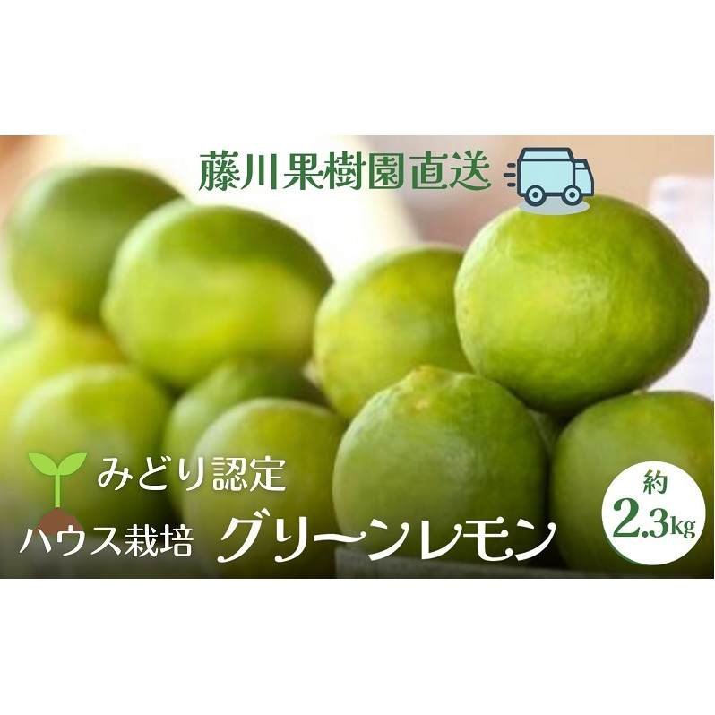 【2025年 先行予約】みどり認定 ハウス栽培グリーンレモン 約2.3kg 国産レモン 香川 果物類／柑橘類／みかん レモン　 