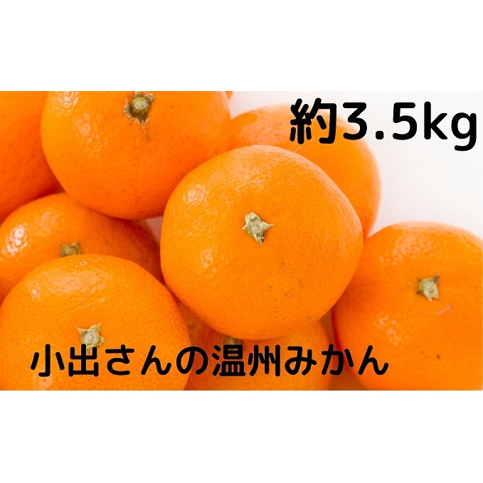 小出さんの温州 みかん 約3.5kg 果物類 柑橘類 フルーツ