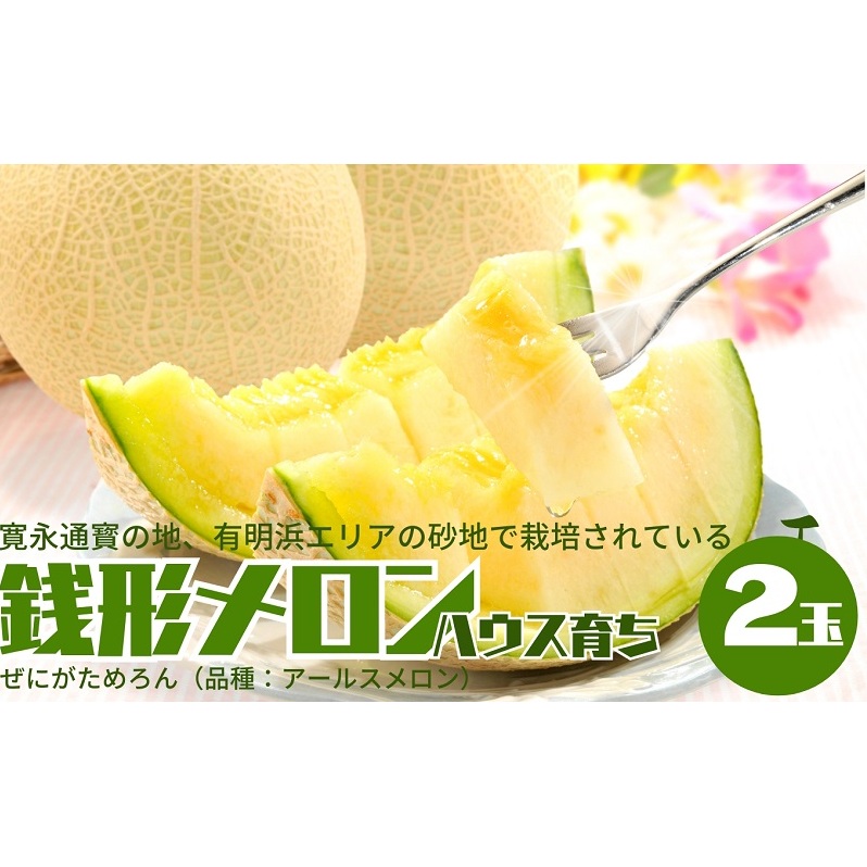 温室メロン(銭形メロン)2玉入り 果物 メロン青肉 フルーツ 温室育ち アールスメロン おやつ デザート 食後 国産 香川県産 観音寺市産
