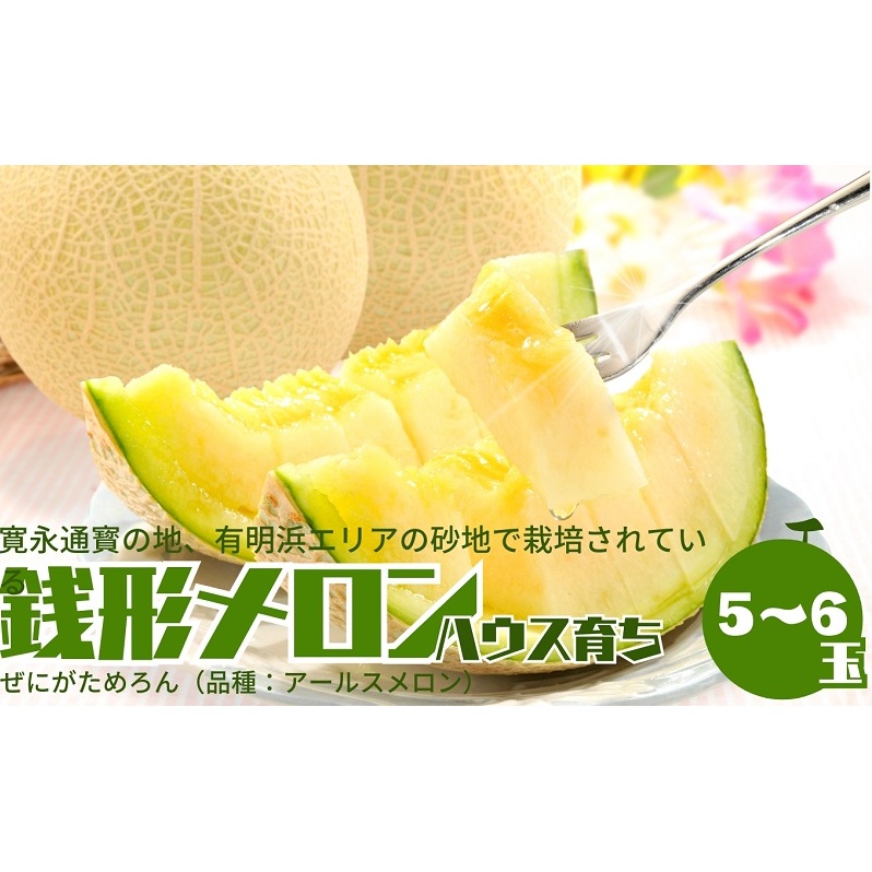 温室メロン(銭形メロン)5~6玉入り 果物 メロン青肉 フルーツ 温室育ち アールスメロン おやつ デザート 食後 国産 香川県産 観音寺市産