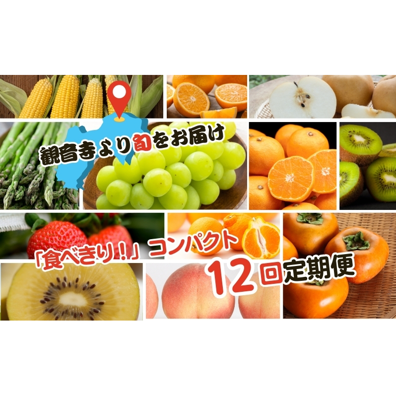 【2025年受付】ご家庭用 食べきり 旬菜旬果フルーツ定期便 全12回