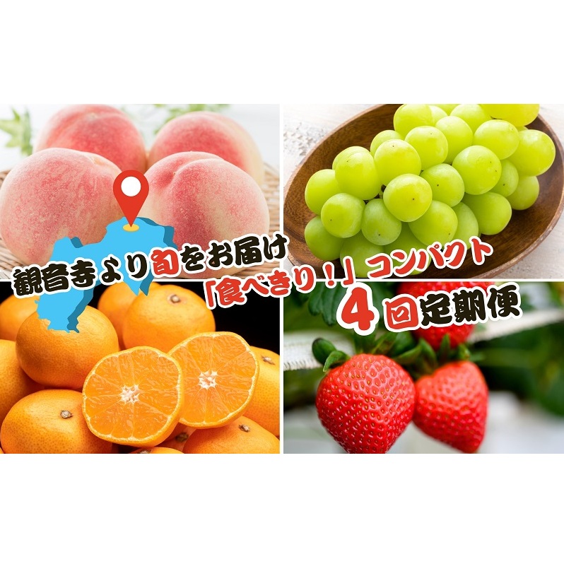 【2025年受付】ご家庭用 食べきり 旬果フルーツ定期便 全4回