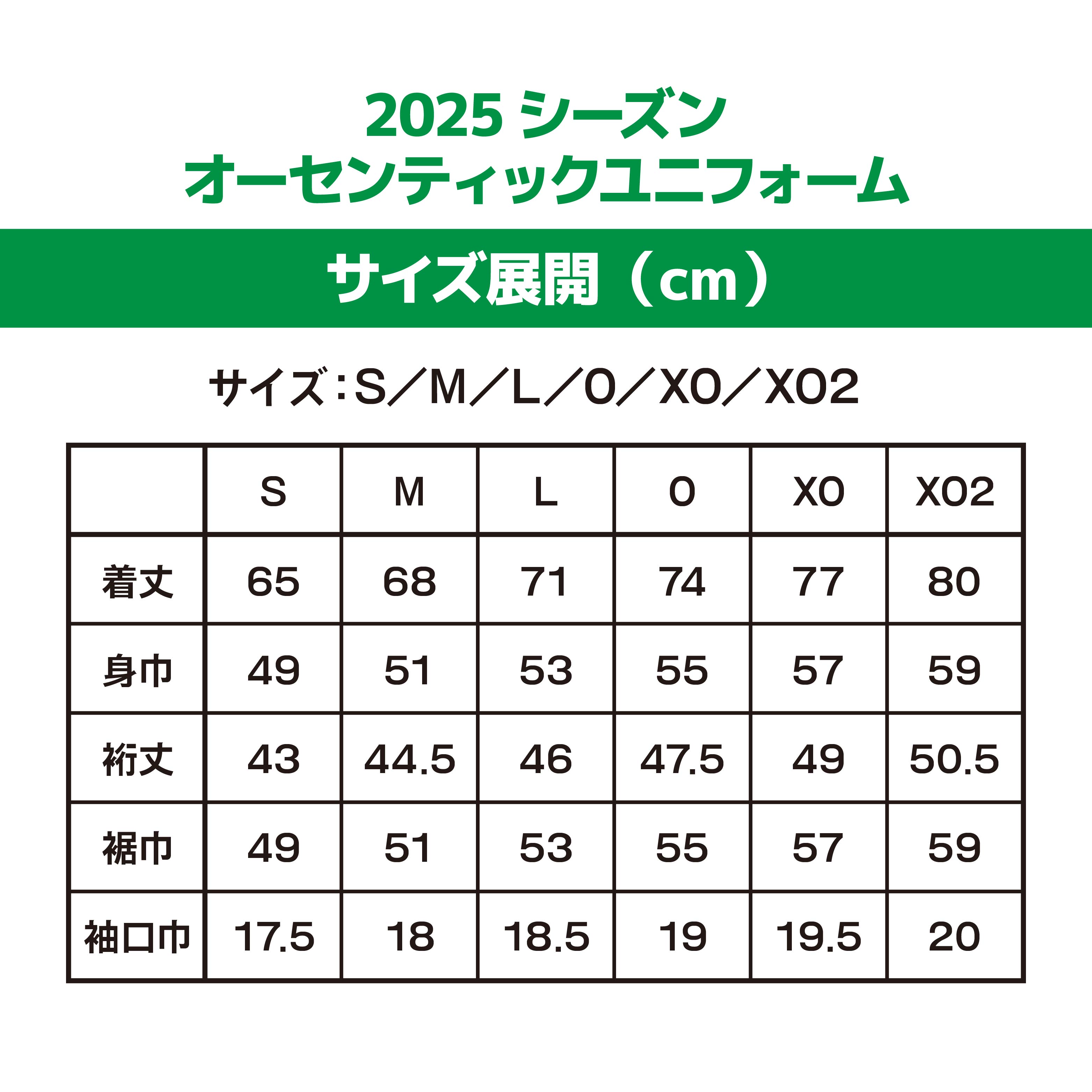 ふるさと納税 服 青森県 八戸市 VANRAURE XO2サイズ ヴァンラーレ八戸 応援グッズ 3点セット 青森県 八戸市 XO2サイズ ヴァンラーレ八戸 応援グッズ 3点セット VANRAURE【Sサイズ】ヴァンラーレ八戸 応援グッズ 3点セット