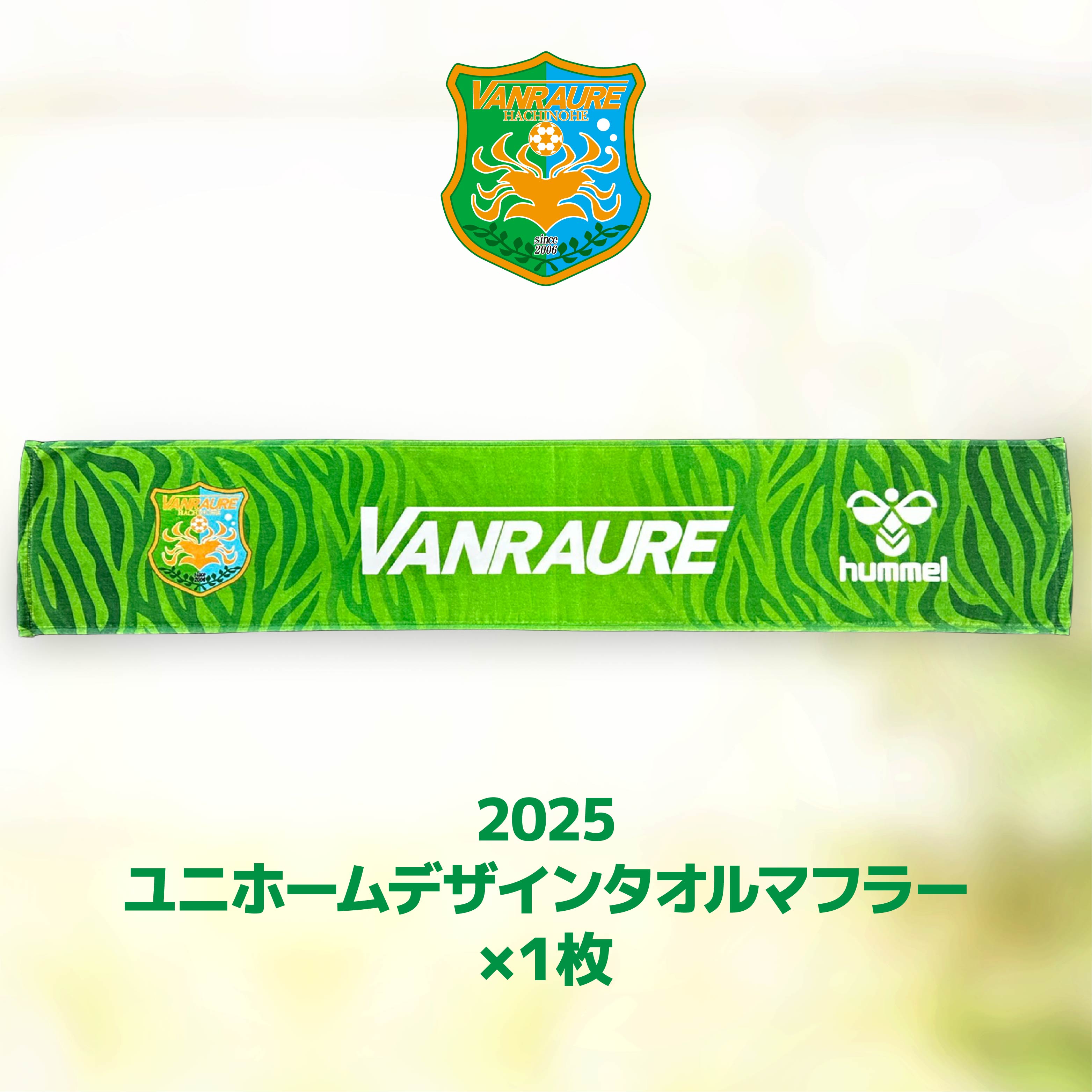 ふるさと納税 服 青森県 八戸市 VANRAURE XO2サイズ ヴァンラーレ八戸 応援グッズ 3点セット 青森県 八戸市 XO2サイズ ヴァンラーレ八戸 応援グッズ 3点セット VANRAURE【Mサイズ】ヴァンラーレ八戸 応援グッズ 3点セット