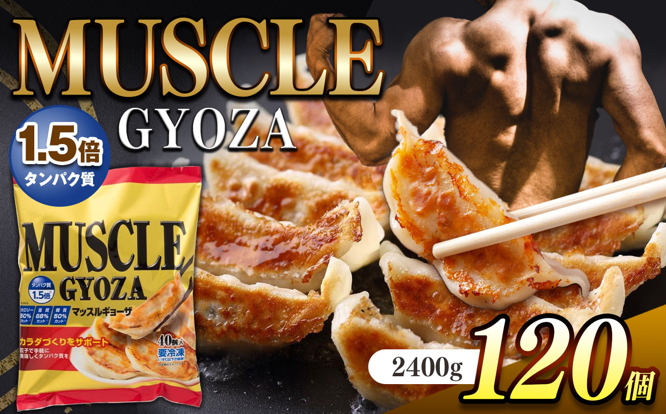 MUSCLE GYOZA 〜マッスルギョーザ〜 3パックセット|餃子 ギョーザ低糖質 マッスルギョーザ 長野県 松本市