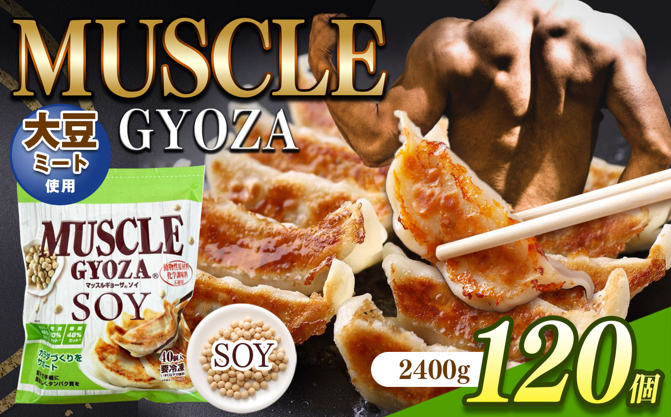 MUSCLE GYOZA SOY 〜マッスルギョーザソイ〜 3パックセット|餃子 ギョーザ低糖質 マッスルギョーザ 長野県 松本市