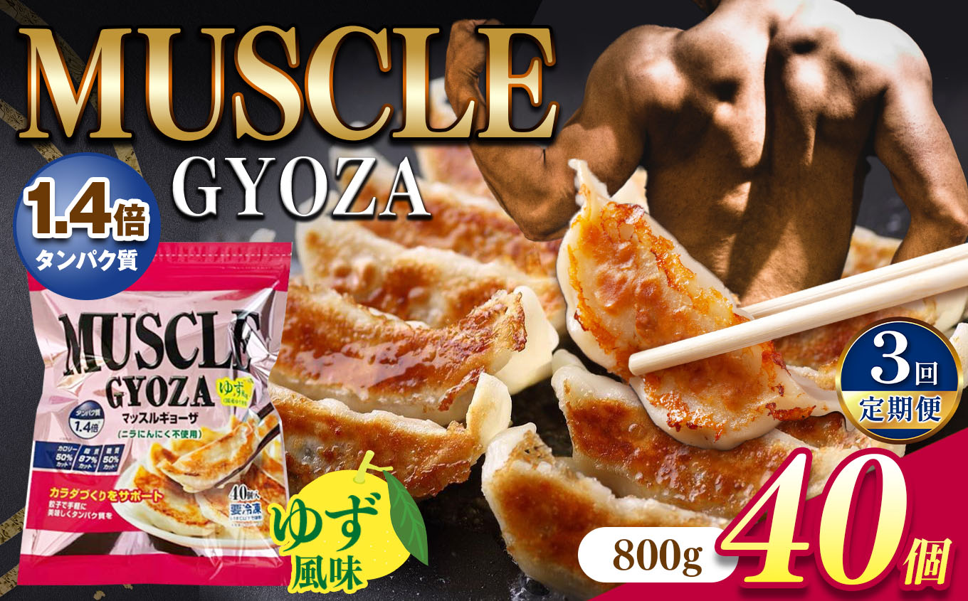 [定期便3回]MUSCLE GYOZA ~マッスルギョーザ 〜(ゆず風味)冷凍餃子40個入り1袋 | ふるさと納税 餃子 ギョーザ 低糖質 マッスルギョーザ 長野県 松本市