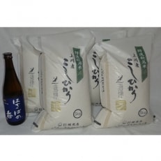 【阿賀町マンマ認定】「上川産こしひかり20kg」と「はでっぱの香720ml」セット【1062419】