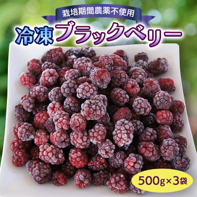 冷凍ブラックベリー(500g×3袋)【配送不可地域：離島】【1116322】