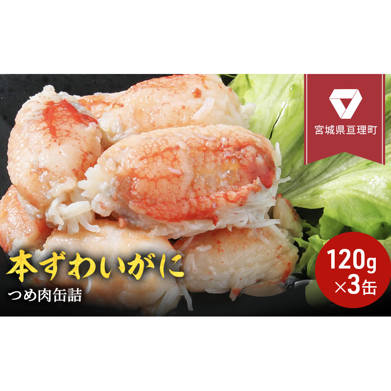 缶詰 かに 本ずわいがに つめ肉 120g × 3缶 セット マルヤ水産 カニ爪 かに缶