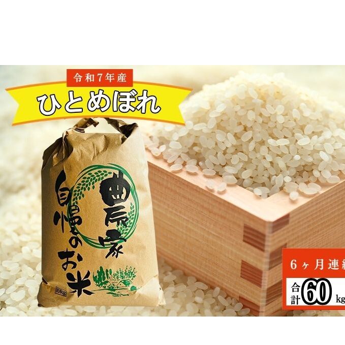 【6ヶ月連続定期便】農家直送！新米 令和7年度産 宮城県亘理町産 ひとめぼれ 10kg(計60kg) お米 ライス 白米 精米 ブランド米 ご飯 炭水化物 