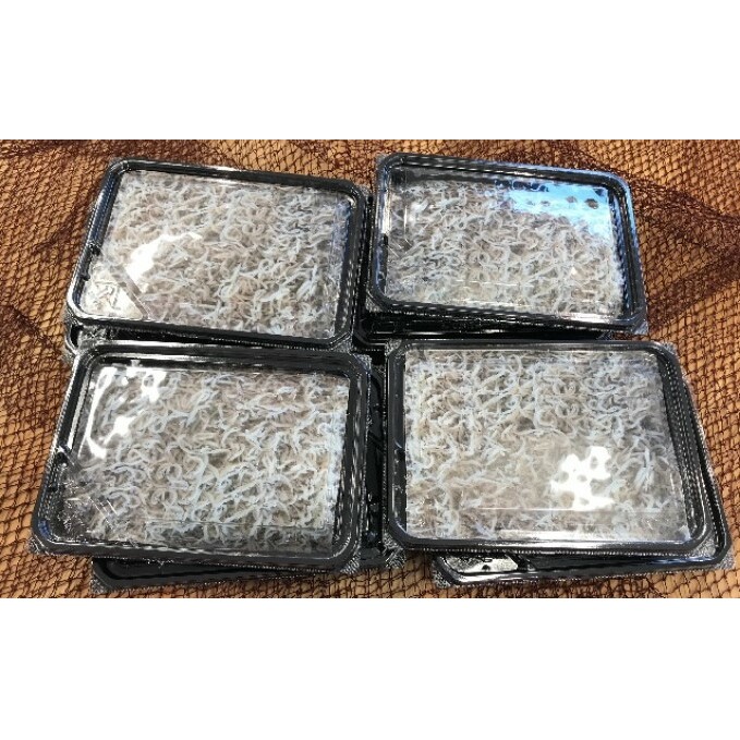 釜揚げしらす（冷凍）80g×8パック＜あらはま海苔＞ 魚貝類 