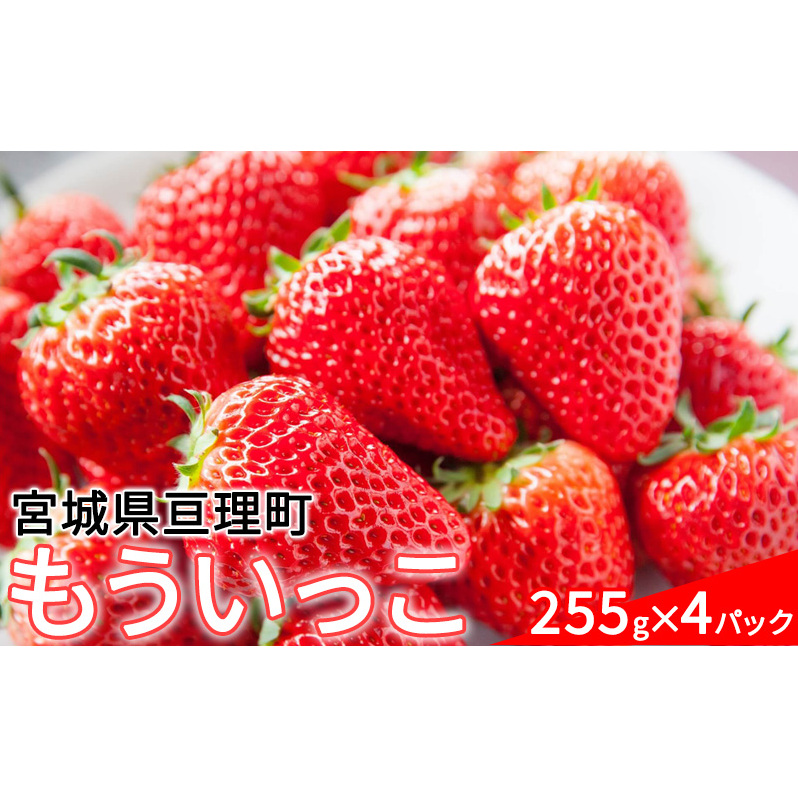 【亘理町産いちご】もういっこ 255g×4パック 果物類 フルーツ デザート 温暖 気候 とちおとめ 東北一 産地 おいしい 