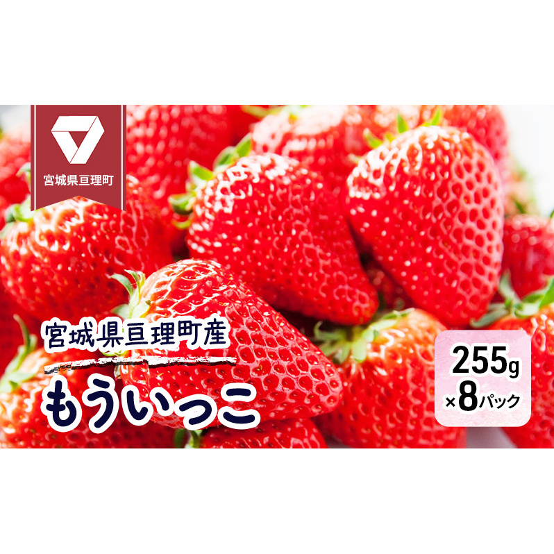 【亘理町産いちご】もういっこ 255g×8パック 果物類 フルーツ デザート 温暖 気候 とちおとめ 東北一 産地 おいしい 