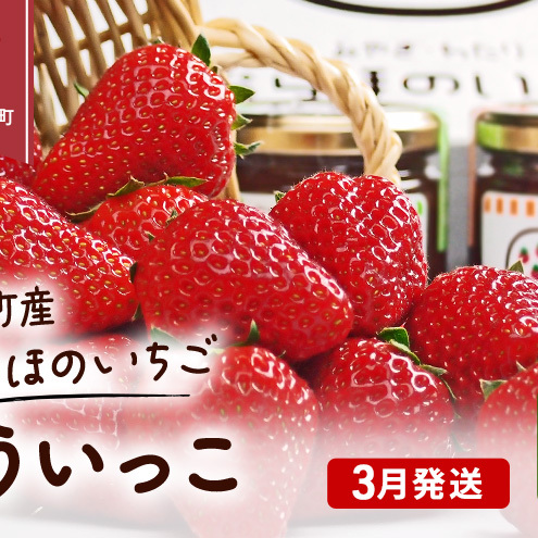 【3月発送】糖度の中に程よい酸味　亘理産おらほのいちご「もういっこ」 果物類 苺 イチゴ 