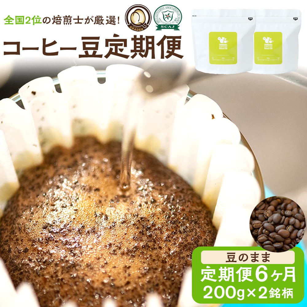 【コーヒー豆定期便】珈琲豆 200g×2銘柄 6ヶ月（豆のまま）