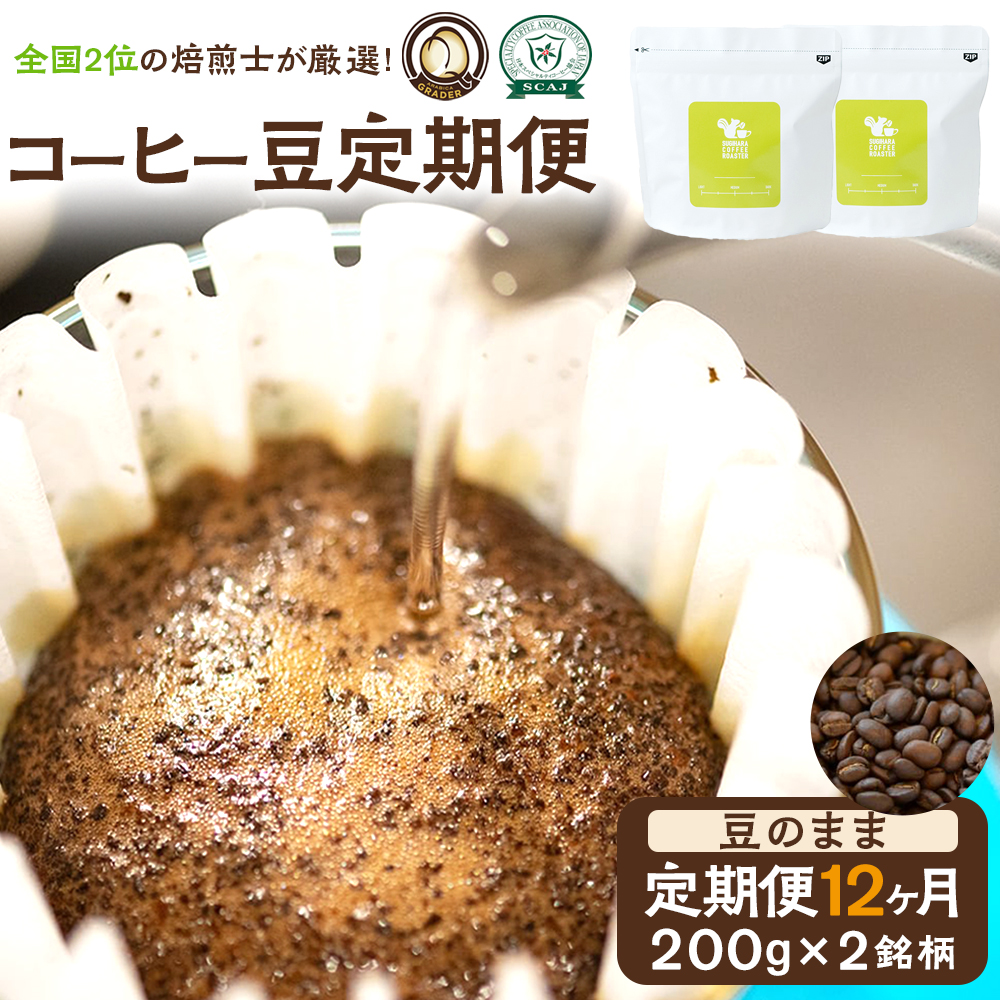 【コーヒー豆定期便】珈琲豆 200g×2銘柄 12ヶ月（豆のまま）