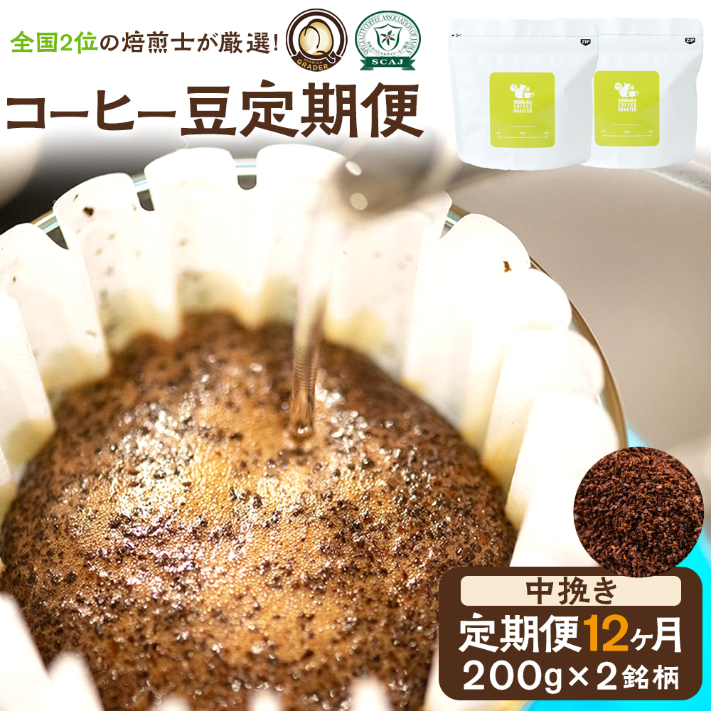 【コーヒー豆定期便】珈琲豆 200g×2銘柄 12ヶ月（中挽き）