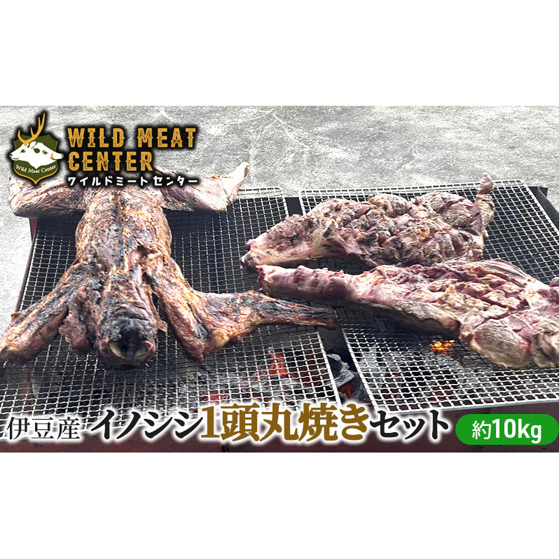 【伊豆産イノシシ肉】イノシシ1頭丸焼きセット猪肉 イノシシ肉 ジビエ 高タンパク 高たんぱく 低カロリー 低脂肪 肉 お肉 山の幸