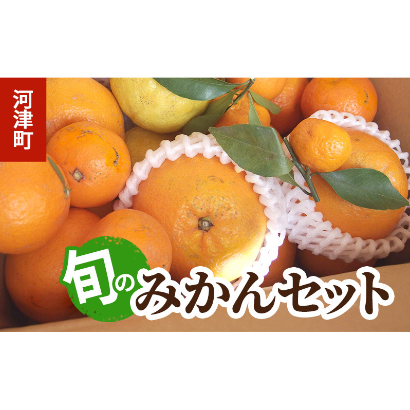 みかん 河津町旬のみかんセット ミカン セット 旬の果物 フルーツ 果実 ニューサマーオレンジ 甘夏 不知火 早生ミカン はるみ ポンカン 河津町 静岡県