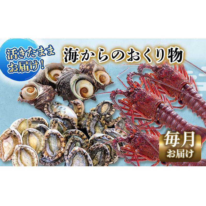 伊勢海老 アワビ サザエ 定期便 年12回 海からのお届け物 ワカメ ひじき はんばのり 干物 伊勢エビ さざえ あわび わかめ 海苔 天草 煮魚 惣菜 えび 鮑 貝 魚 魚介 魚介類 海鮮 海鮮セット セット 冷蔵 静岡 静岡県 12回 お楽しみ 