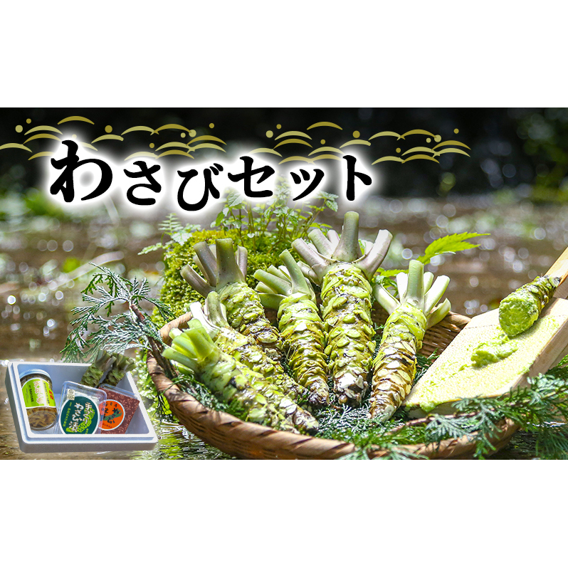 わさび セット 生わさび 2本 わさび漬け 1本 天城の春 三杯酢漬け 1瓶 わさび味噌 1個 詰め合わせ 伊豆 伊豆わさび食品直送 ワサビ 山葵 加工品 加工食品 薬味 調味料 冷蔵 冷蔵配送 静岡 静岡県 河津 河津町