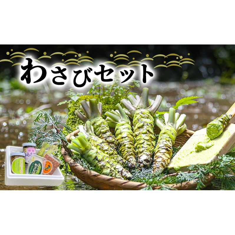 とれたて わさび セット 滝 生産者直送 生わさび 2本 手作り わさび漬け 天城の春 三杯酢漬け わさびみそ むらさき漬 醤油漬け 伊豆 ワサビ 茎 加工品 加工食品 薬味 詰め合わせ 静岡 調味料