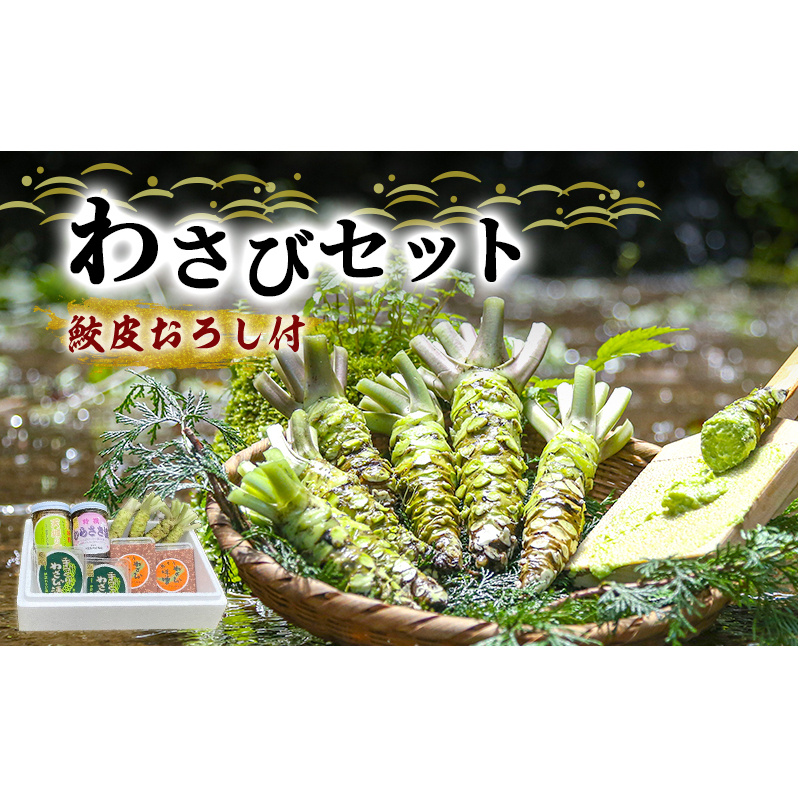 わさび セット 鮫皮おろし付 生わさび 4本 わさび漬け 2個 わさび味噌 2個 天城の春 三杯酢漬け1瓶 むらさき漬け 1瓶 詰め合わせ 伊豆 伊豆わさび食品直送 ワサビ 山葵 鮫皮おろし 加工品 薬味 調味料 冷蔵 冷蔵配送 静岡 静岡県 河津 河津町