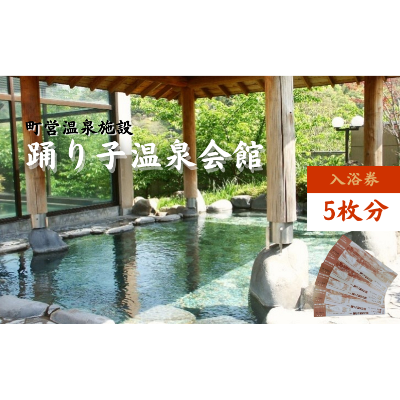 踊り子温泉会館 【入浴券 5枚分】 チケット 峰温泉 温泉 入浴 レジャー 大浴場 回数券 露天風呂 泡風呂 サウナ 癒し 河津町 河津