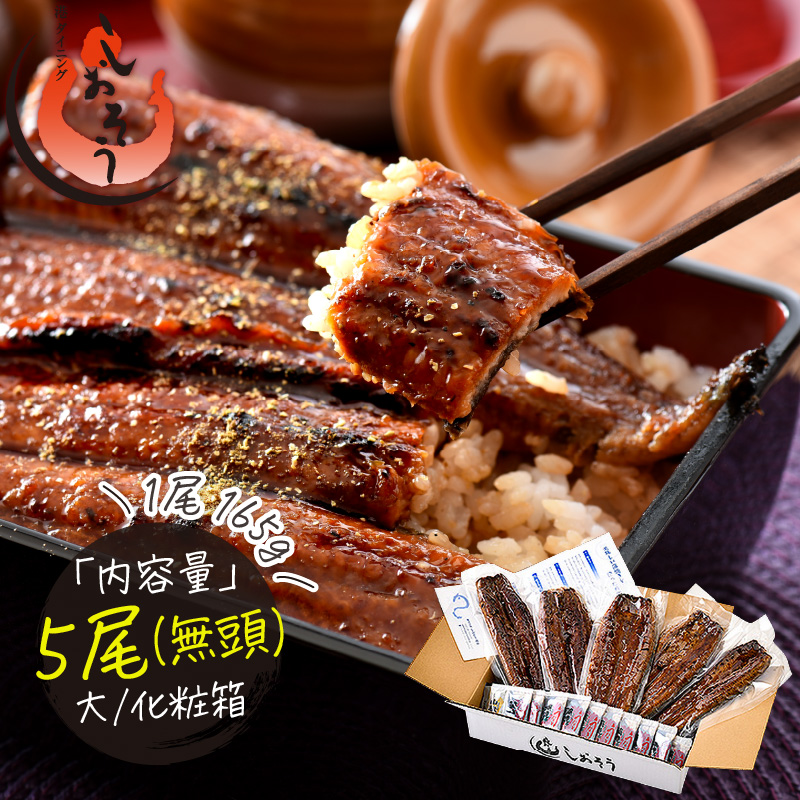 国産 うなぎ蒲焼き 大サイズ 約165g × 5尾 [053-c005][敦賀市ふるさと納税]