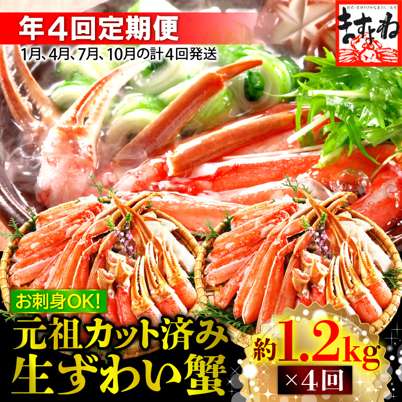 定期便 ≪年4回お届け≫ ますよね商店 大人気商品 元祖カット済 生ずわい蟹 約1.2kg[ ますよね カニしゃぶ ] [001-t002][敦賀市ふるさと納税]