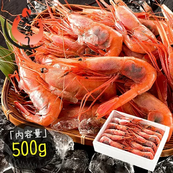 福井県敦賀産甘えび・子持ちE大サイズ約500g(約30尾) [053-a028_A(25)][敦賀市ふるさと納税]