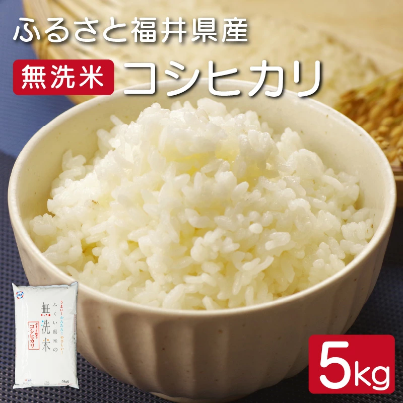 無洗米 ふるさと福井県産 コシヒカリ 精米 5kg（無地のし対応可）【米 お取り寄せ ギフト 贈り物】[051-a003] 【敦賀市ふるさと納税】