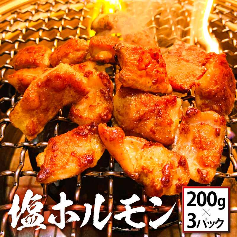 ホルモン 焼肉屋「牛びより」自慢の味付き 塩ホルモン 200g × 3パック(計600g) [冷凍 焼肉 豚ホルモン BBQ バーベキュー ホルモン炒め おかず おつまみ 肴 あて] [063-a001][敦賀市ふるさと納税]