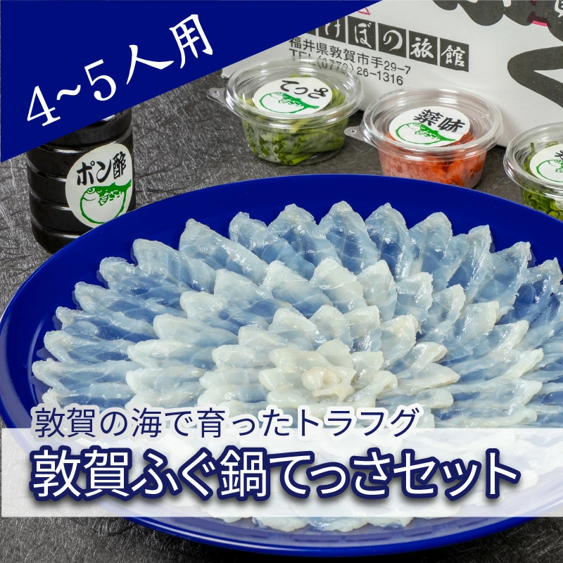 [11月発送]フグ 敦賀ふぐ鍋てっさセット(4〜5人用) [冷蔵 ふぐ刺し 河豚 ふぐ 海鮮 鍋 なべ] [041-f004][敦賀市ふるさと納税]