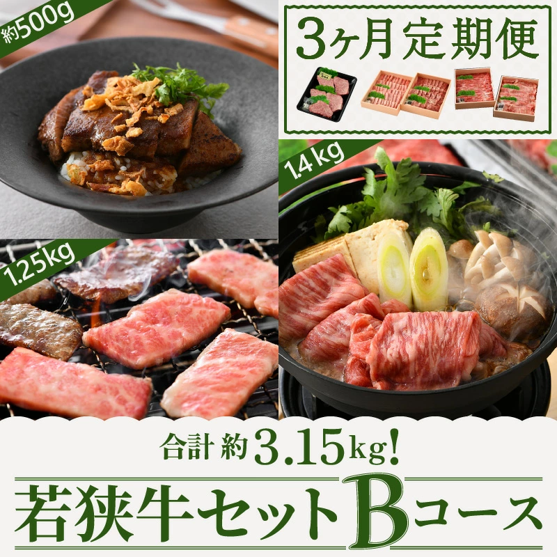 定期便 ≪3ヶ月連続お届け≫ 若狭牛セット Bコース【黒毛和牛 冷凍 お取り寄せ グルメ】[051-l002]【敦賀市ふるさと納税】