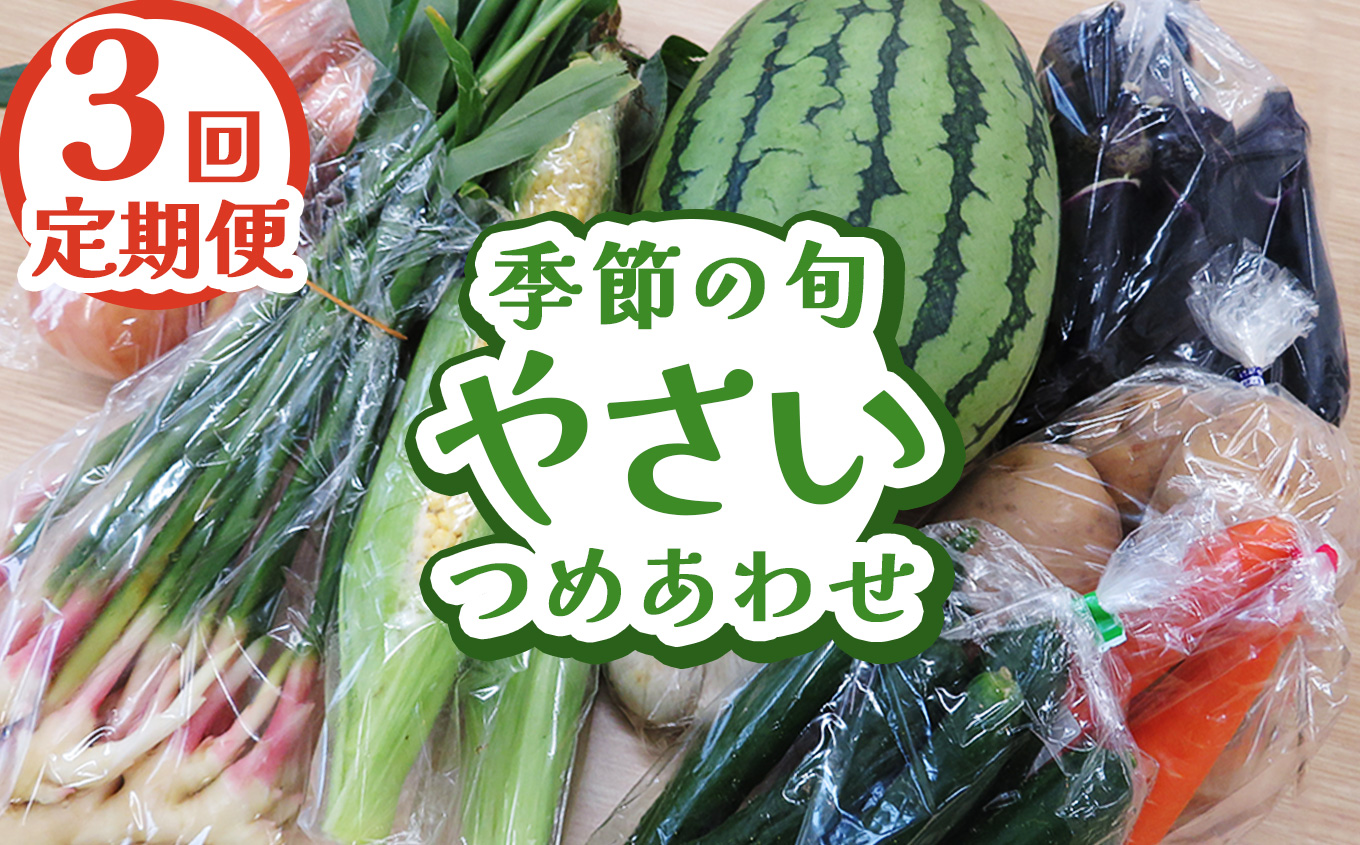 [定期便3回]下野市産 季節の旬野菜詰め合わせ | 旬野菜 詰め合わせ 野菜セット 地元野菜 栃木県産 新鮮野菜 産地直送 野菜通販 無農薬野菜 季節野菜 朝採れ野菜 地場野菜 お取り寄せ 下野市野菜 野菜詰合せ 有機野菜 地元農家 栃木野菜 栃木県 下野市