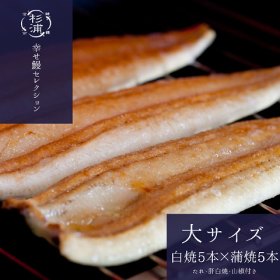 遠州杉浦うなぎLセット　白焼5本+蒲焼5本(2,100~2,400g)+肝白焼3パック+タレ3個【配送不可地域：離島】【1612735】
