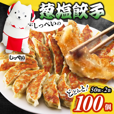 しっぺいの葱塩餃子 100個(50個×2袋)きわだつ旨み!磐田市特産品の長葱使用 国産ぎょうざ 冷凍【配送不可地域：離島】【1630487】