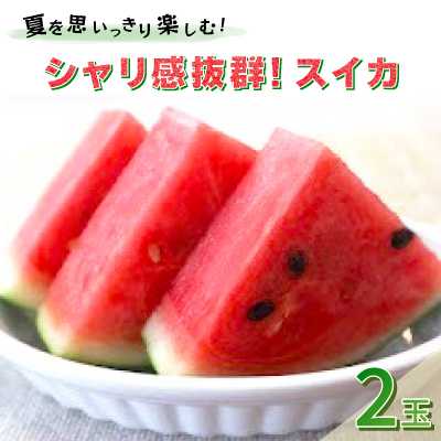 【先行受付/2026年8月上旬より発送】2玉!夏を思いっきり楽しむ!シャリ感抜群!スイカ【ぷちっと】【配送不可地域：離島・北海道・沖縄】【1685556】